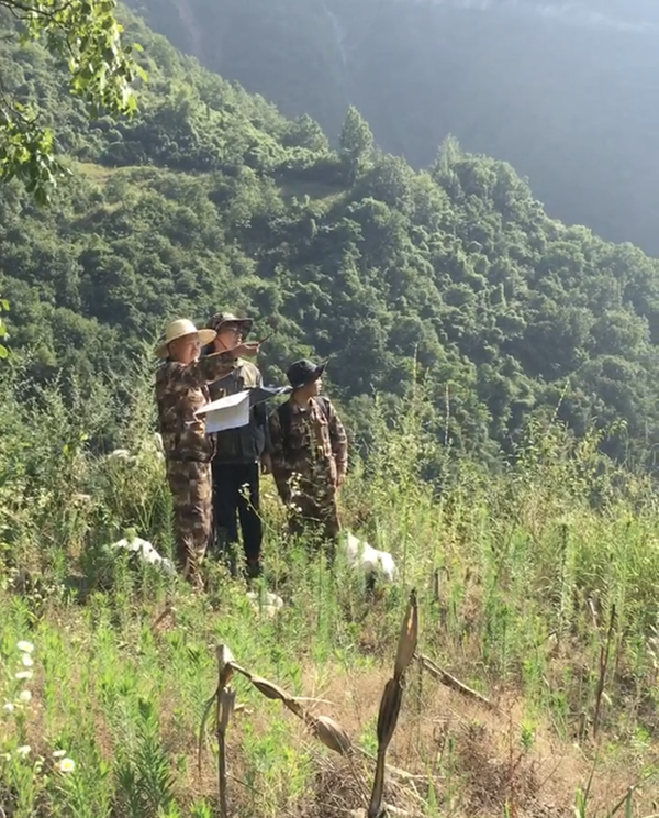 無懼&ldquo;烤&rdquo;驗，不負&ldquo;熱&rdquo;愛，用堅持成就不凡！----我公司陜西省鎮安縣早陽山一帶鈷多金屬礦預查項目找礦成果顯著