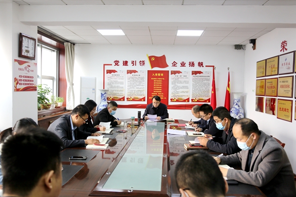 陜西地礦區研院有限公司召開黨委理論學習中心組學習（擴大）會議學習貫徹黨的二十大精神