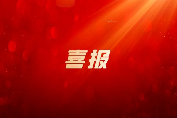 我公司2個支部3名個人榮獲集團&ldquo;兩優一先&rdquo;表彰