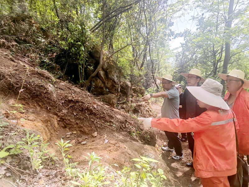 范樂偉一行赴漢中項(xiàng)目檢查指導(dǎo)工作