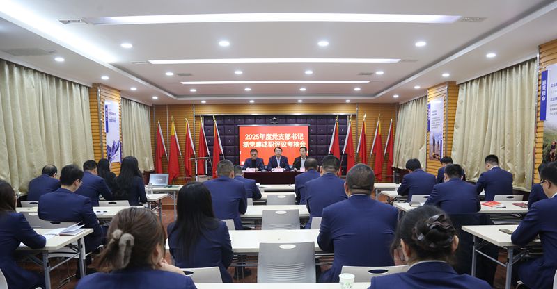 陜西地礦區研院有限公司召開2025年度黨支部書記 抓黨建述職評議考核會